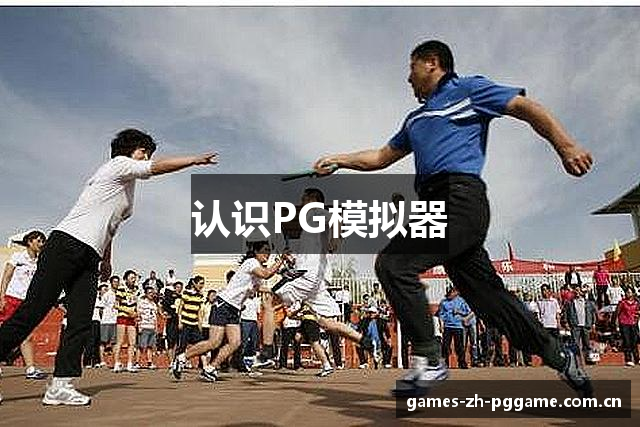 认识PG模拟器